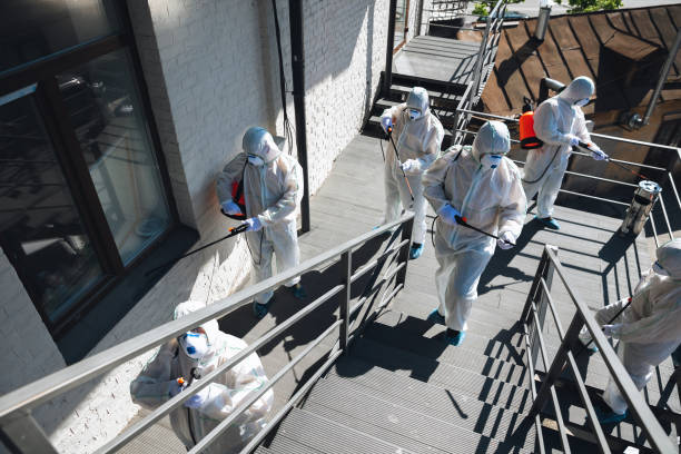 Reliable Miramar, FL Mold Removal Solutions