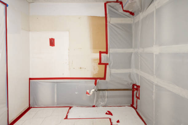 Best Attic Mold Removal  in Miramar, FL