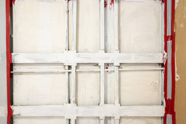 Best Attic Mold Removal  in Miramar, FL