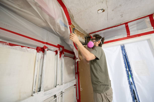 Best Dehumidification Services  in Miramar, FL