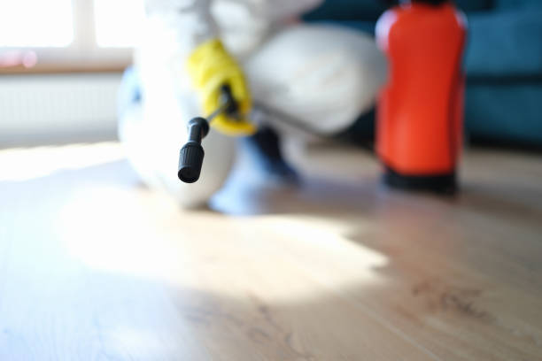 Best Asbestos and Lead Testing During Mold Inspection  in Miramar, FL