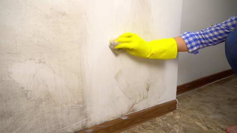 Best Crawl Space Mold Remediation  in Miramar, FL