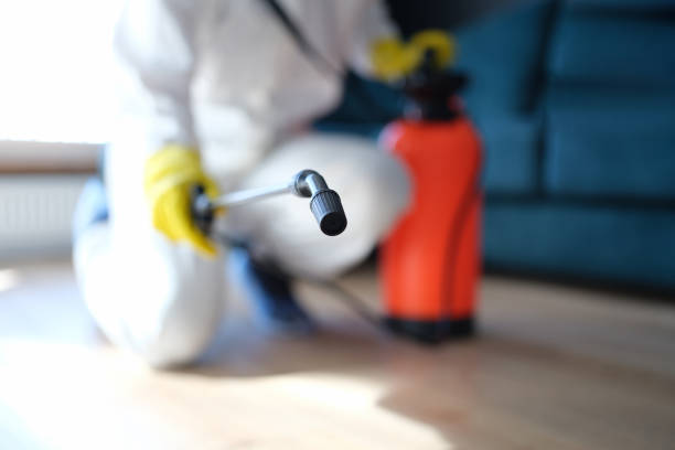 Best Airborne Mold Testing  in Miramar, FL
