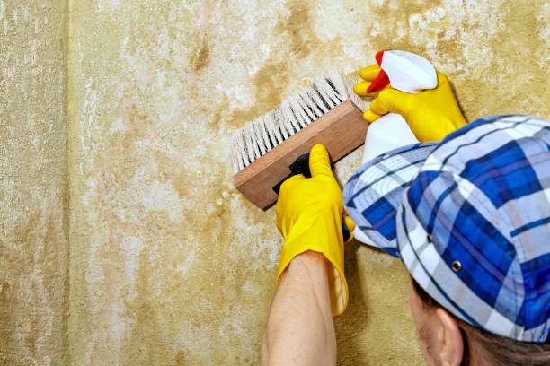Best HVAC Mold Inspection and Cleaning  in Miramar, FL