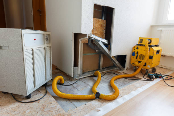 Best Mold Documentation for Insurance Claims  in Miramar, FL