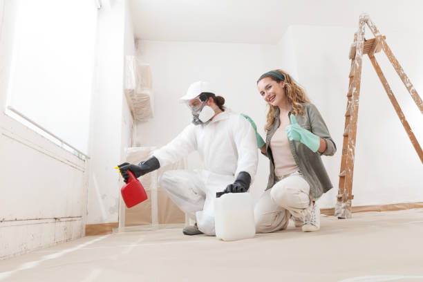 Environmental Consulting for Mold Prevention in Miramar, FL