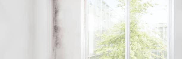 Best Real Estate Mold Inspection  in Miramar, FL
